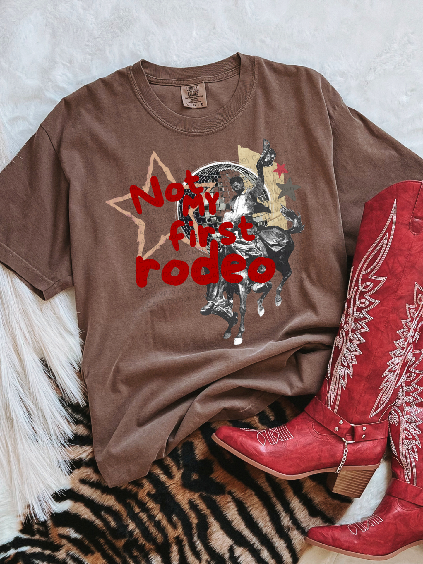 Not my first rodeo tee or sweatshirt