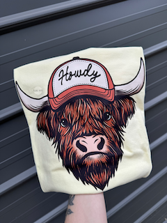 Howdy Highland cow tee or sweatshirt